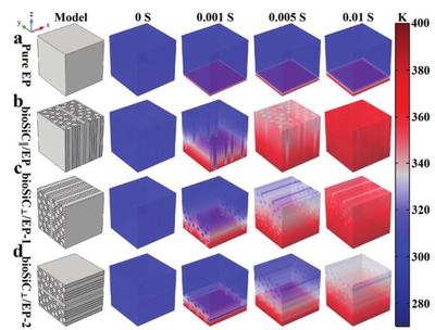 西安交大楊建鋒、王波《Adv.Sci.》 木材衍生3D SiC框架賦能，創(chuàng)制導(dǎo)熱率達(dá)10.27W/mK的高性能復(fù)合材料